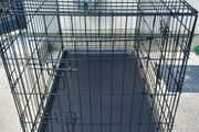 large dog travel crate