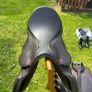 Saddles Image 3