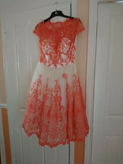 Brand New Chi Chi dress