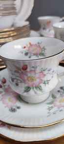 Dinner Set Elizabethan Hand Decorated Fine Bone China England