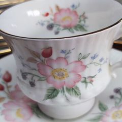 Dinner Set Elizabethan Hand Decorated Fine Bone China England