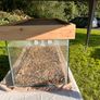 Massive (4ft) Wood & Glass Terrarium Image 3