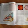 Human Physiology, 16th Ed by Stuart Ira Fox and Krista Rompolski. Image 6