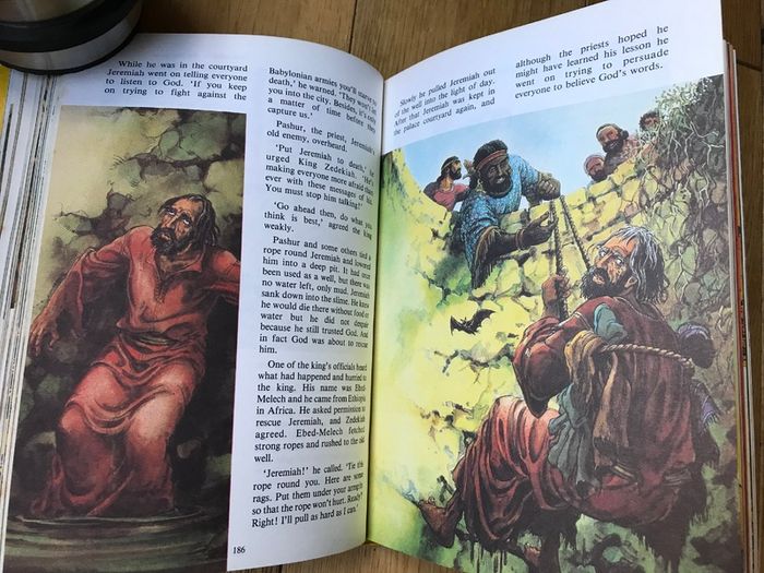 The Ladybird Bible Story Book