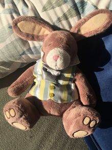 soft toy rabbit