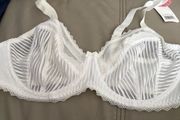 white bra 36DD