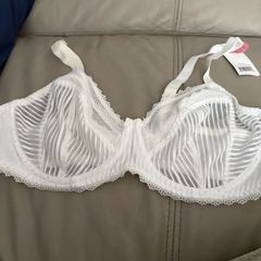 white bra 36DD