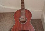 Ibanez PNB14E-OPN Acoustic Bass