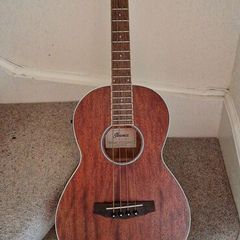 Ibanez PNB14E-OPN Acoustic Bass