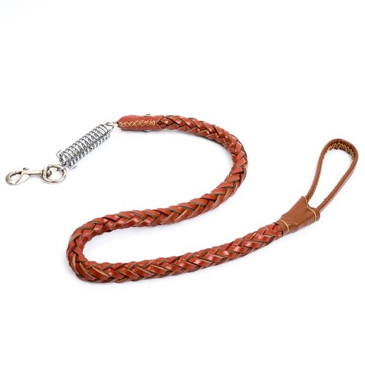 Leather Lead and Collar Set