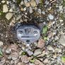 Lexus IS220D 2007 front bumper crash support brackets Image 5
