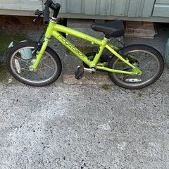 kids ridgeback bike