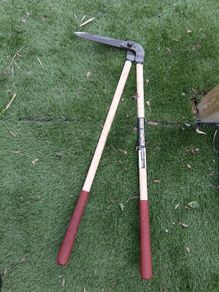 hedge clippers