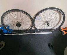 MAVIC Open Pro rims.