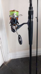 Daiwa Prorex AGS spinning rod & Daiwa regal reel