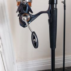Daiwa Prorex AGS spinning rod & Daiwa regal reel