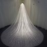 Cathedral Length Bridal Veil Image 4