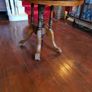 Victorian mahogany veneer and oak tilt top occasional table Image 2