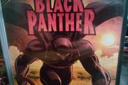 Black Panther Dvd- Marvel Knights Animation