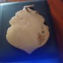 Gold  plated Antique medal re listed Image 3