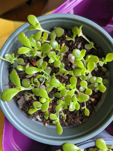 Mother of thousands