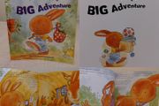 Bertie Bunny's Big Adventure story book