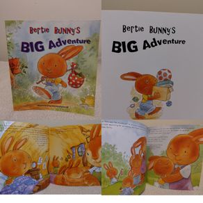 Bertie Bunny's Big Adventure story book