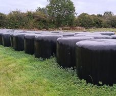 Haylage