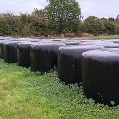 Haylage