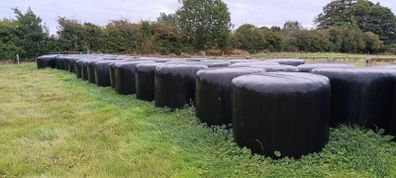 Haylage