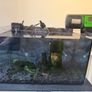 Fish Tank Complete Setup 27L Aquarel Aquarium Image 8
