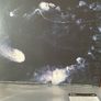 Swans - My Father Will Guide Me up a Rope to the Sky (First Press) Image 10