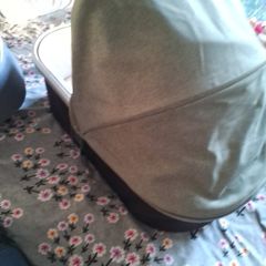 bassinet uppababy