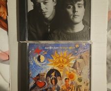 Tears For Fears Collection -Songs From The Big Chair / The Seeds Of Love.