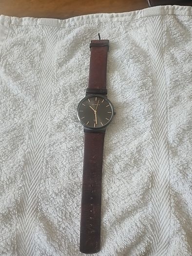 skagen mens watch