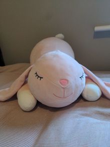 Snuggle Club Plush