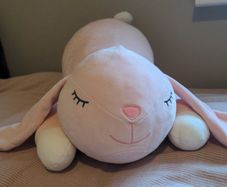 Snuggle Club Plush