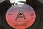 SHABAM  on the planet of the apes PROMO