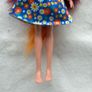 Enchantimals Felicity Fox Doll & friend Flick PLAYSET FXM71 Used Please look at the pictures Image 5