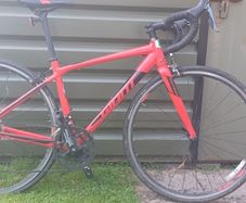 Adolescent/Child Bike