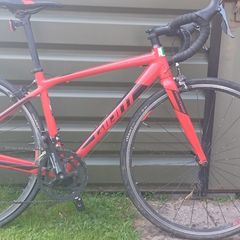 Adolescent/Child Bike