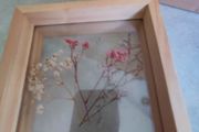 ONE FRAMED Fresh pressed real flower wall decor mounted between two panes of glass, in a WOOD FRAME.