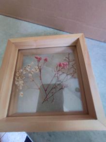 ONE FRAMED Fresh pressed real flower wall decor mounted between two panes of glass, in a WOOD FRAME.