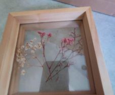 ONE FRAMED Fresh pressed real flower wall decor mounted between two panes of glass, in a WOOD FRAME.