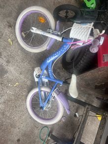 16 inch frozen bike