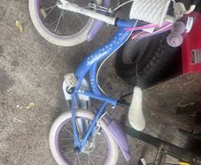 16 inch frozen bike