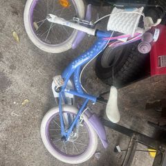16 inch frozen bike