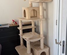 cat tree