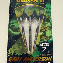Gary Anderson World Champion 24g