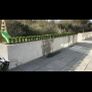 Box Hedging Image 7